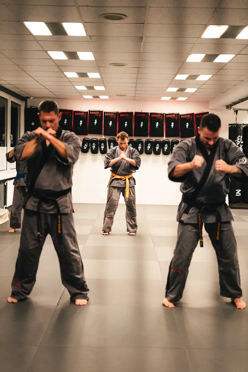 Karate Kyokushin Budokai: Erwachsene im Kampfanzug in Abwehrstellung